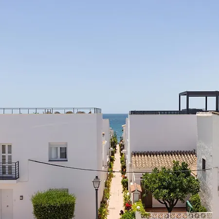 Palm Apartamento *